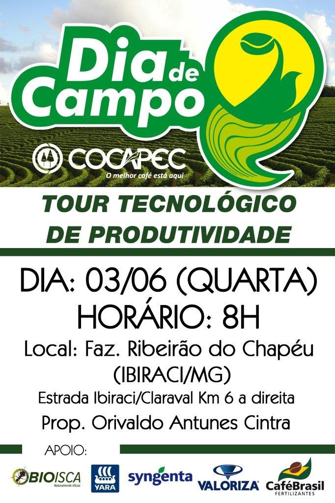 dia campo bira junho