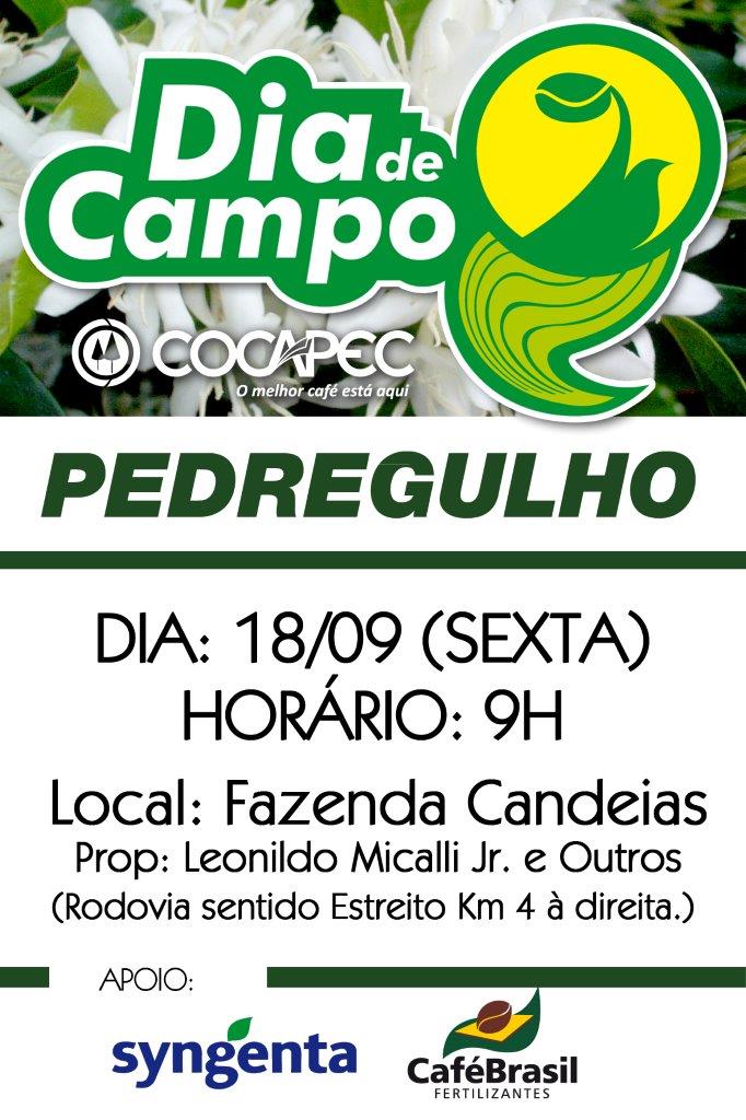 dia campo setembro ped