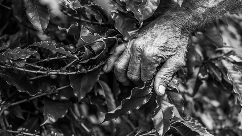 imigrant-3