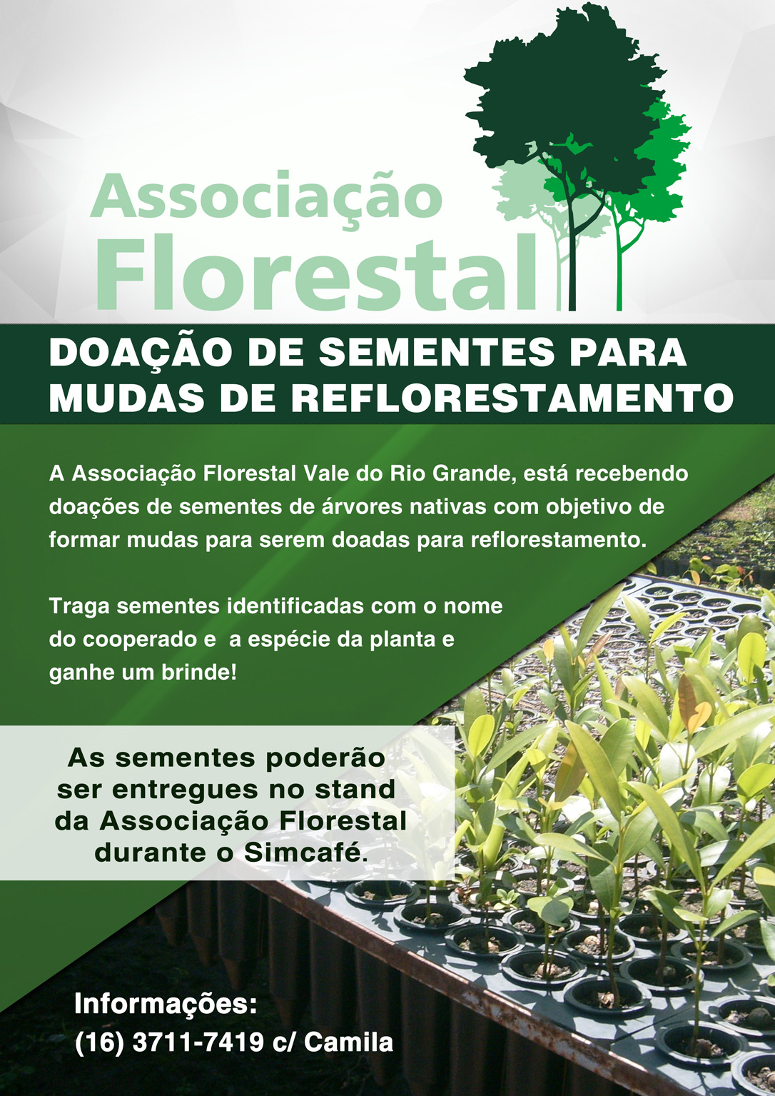 associação sementes whats