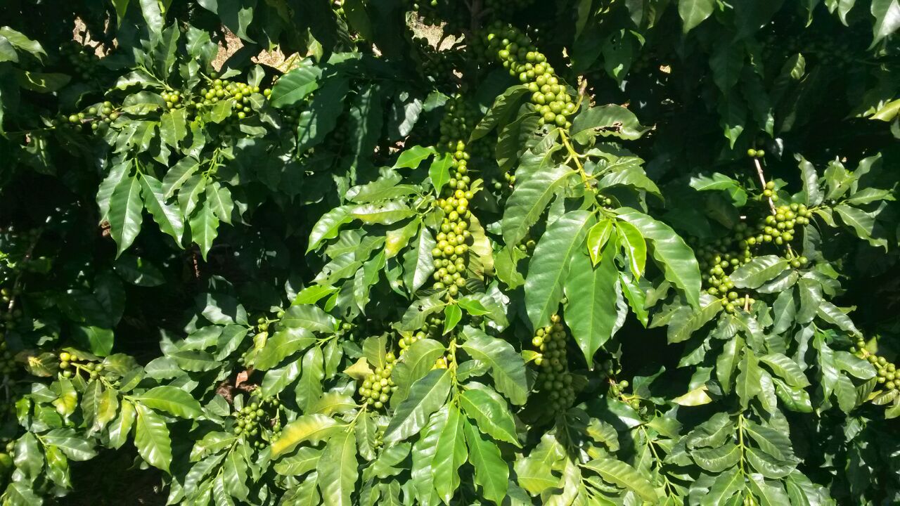 IMG-20180327-WA0023